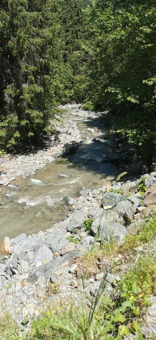 E-Bike Tour zur Osmannalm im Talschluss von Hinterglemm