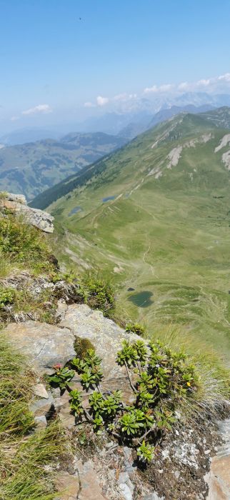 Hauswanderung auf den Hochkogel