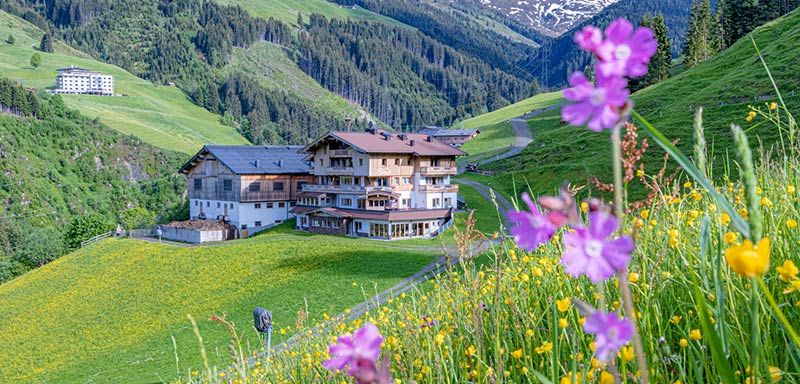 Urlaub auf dem Bauernhof