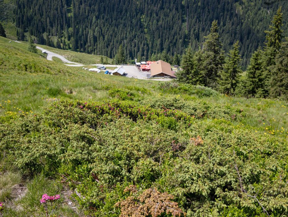 Familienwanderung zur Hacklbergalm in Hinterglemm