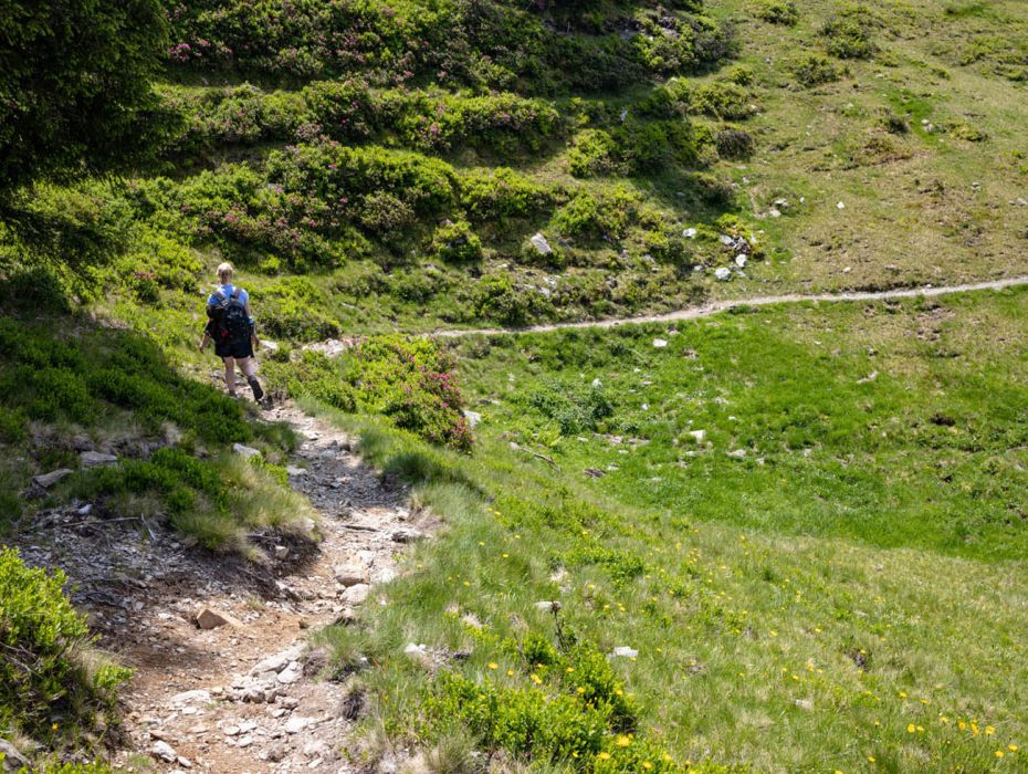 Familienwanderung zur Hacklbergalm in Hinterglemm