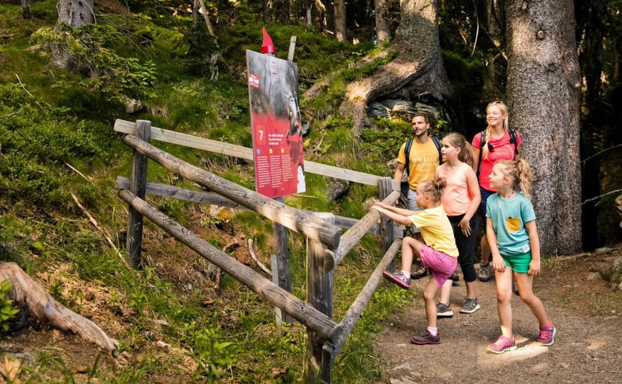 Berg Kodok in Hinterglemm am Reiterkogel - Erlebniswanderweg für Kinder