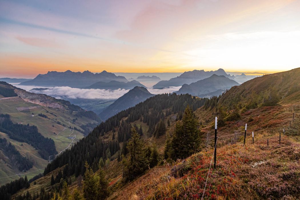 Herbstliche Sonnenaufgangswanderung zur Hochalmspitze
