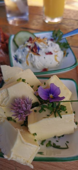 E-Bike Tour zur Osmannalm im Talschluss von Hinterglemm