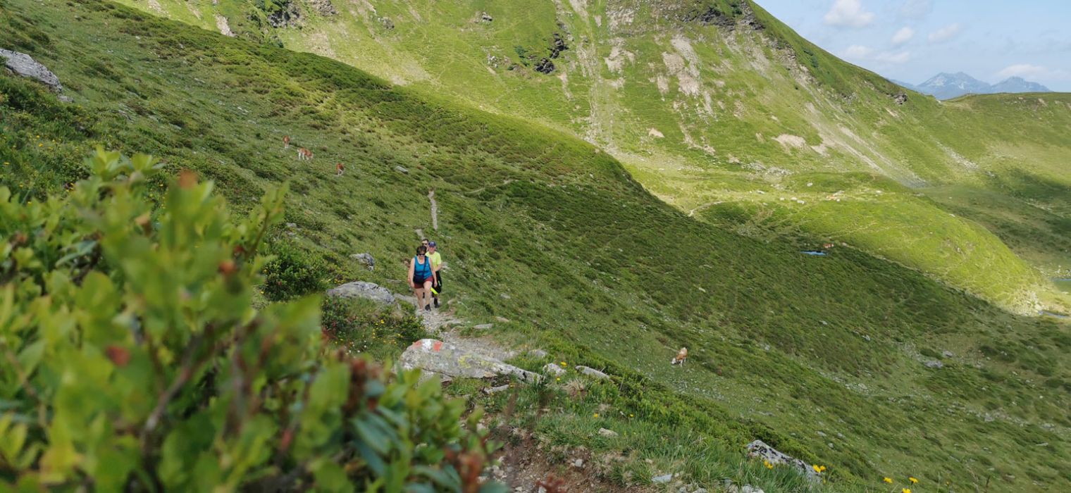 Hauswanderung auf den Hochkogel